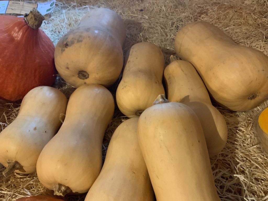 COURGE BUTTERNUT - 1Kg