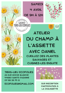 Balade cueillette plantes sauvages 4 avril Daniel Ecofolies