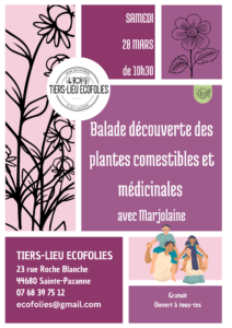 Balade cueillette plantes sauvages 28 mars Marjo Ecofolies